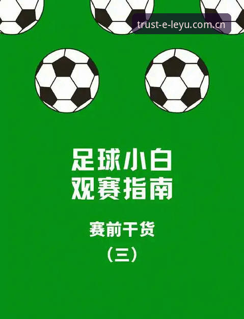 乐鱼体育平台世界杯观赛指南：从签证困局到赛事体验的全面解读